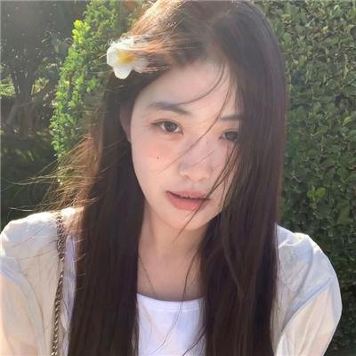 鲨与鲸